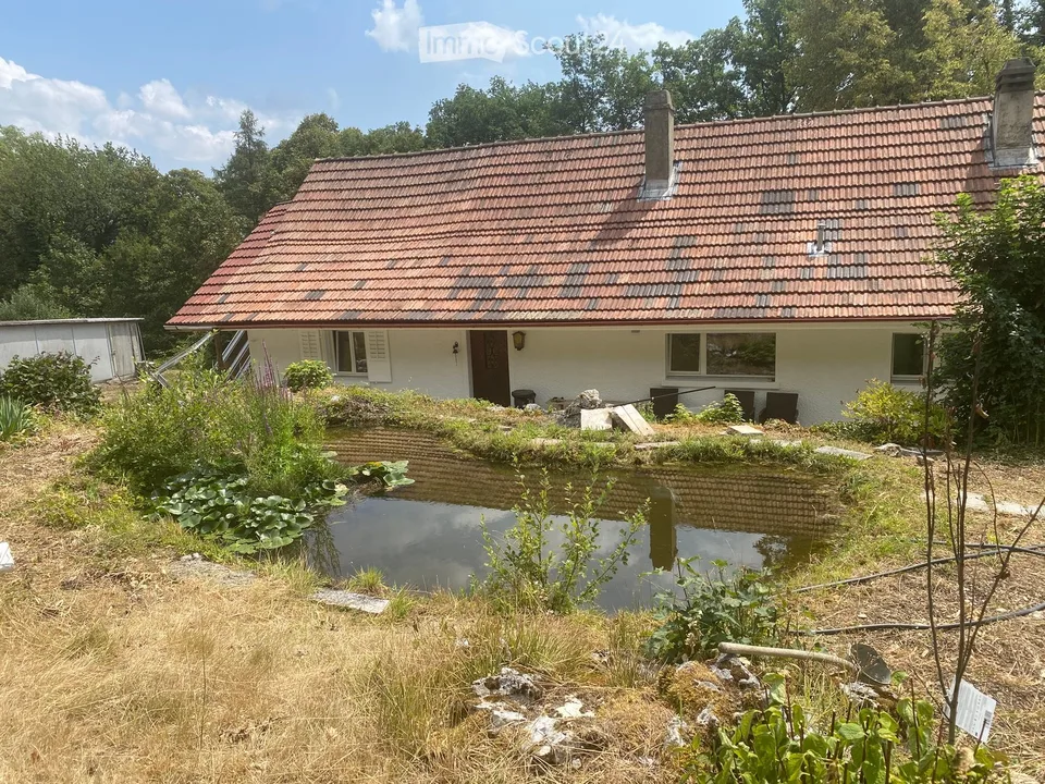 Charmantes 3.5-Zimmer-Einfamilienhaus in Egerkingen – sofort verfügbar!