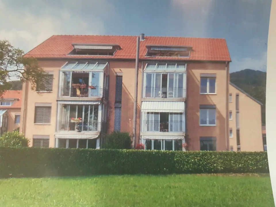 Sehr schöne, neu renovierte 3 1/2 Zimmer-Wohnung