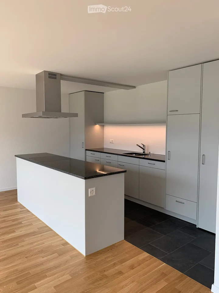 Schöne 3 1/2-Zimmer-Wohnung in Stadtnähe zu vermieten