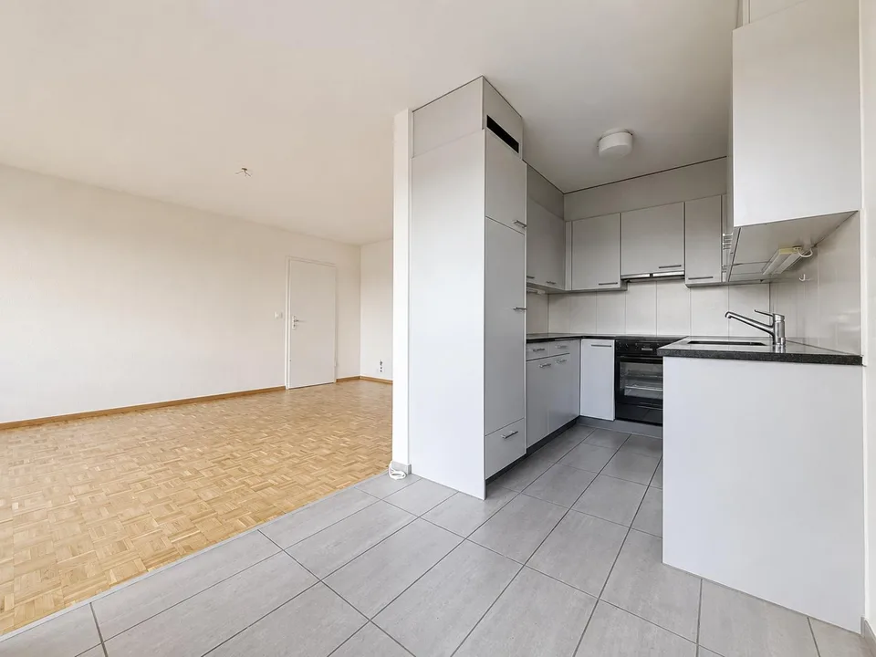 Sopra i tetti di Basilea: appartamento 3.0 locali con due balconi e vista panoramica