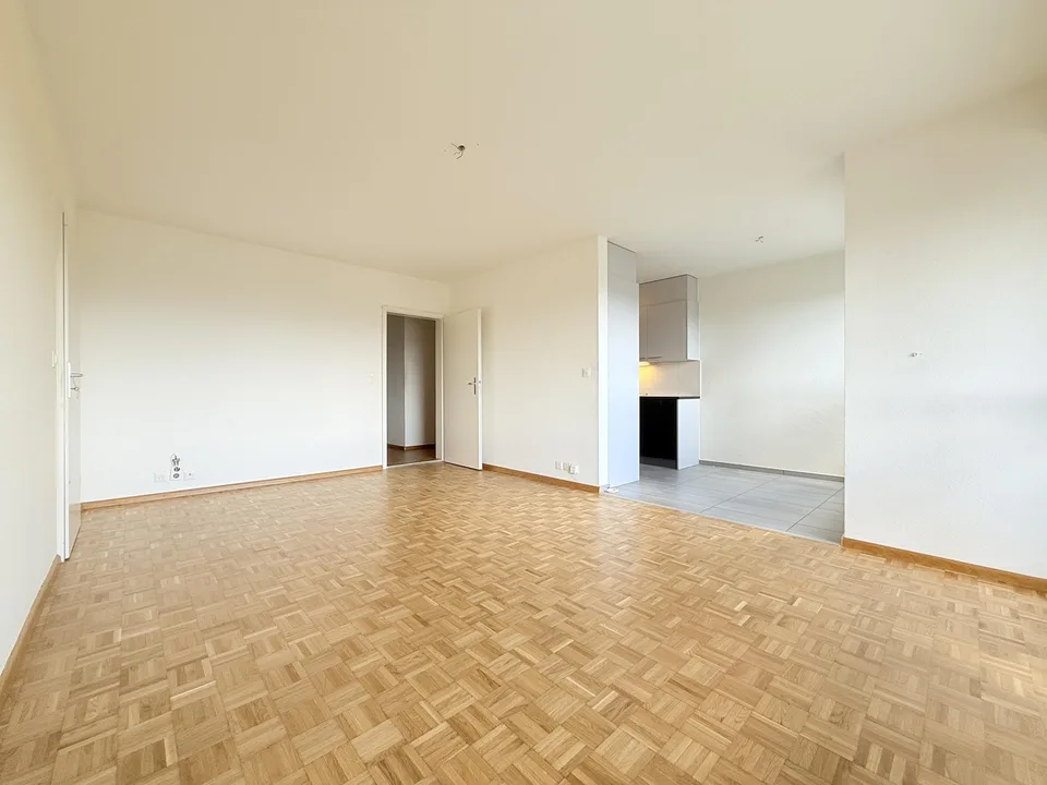 Sopra i tetti di Basilea: appartamento 3.0 locali con due balconi e vista panoramica