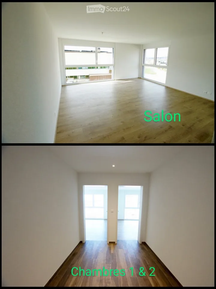 For rent apartment in Semsales