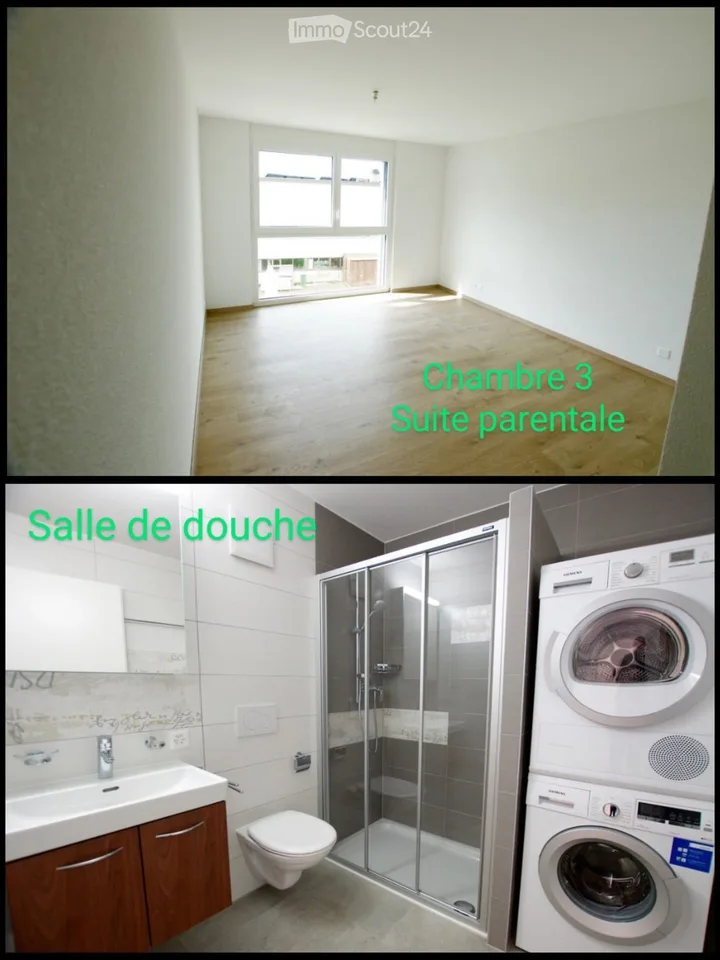 For rent apartment in Semsales