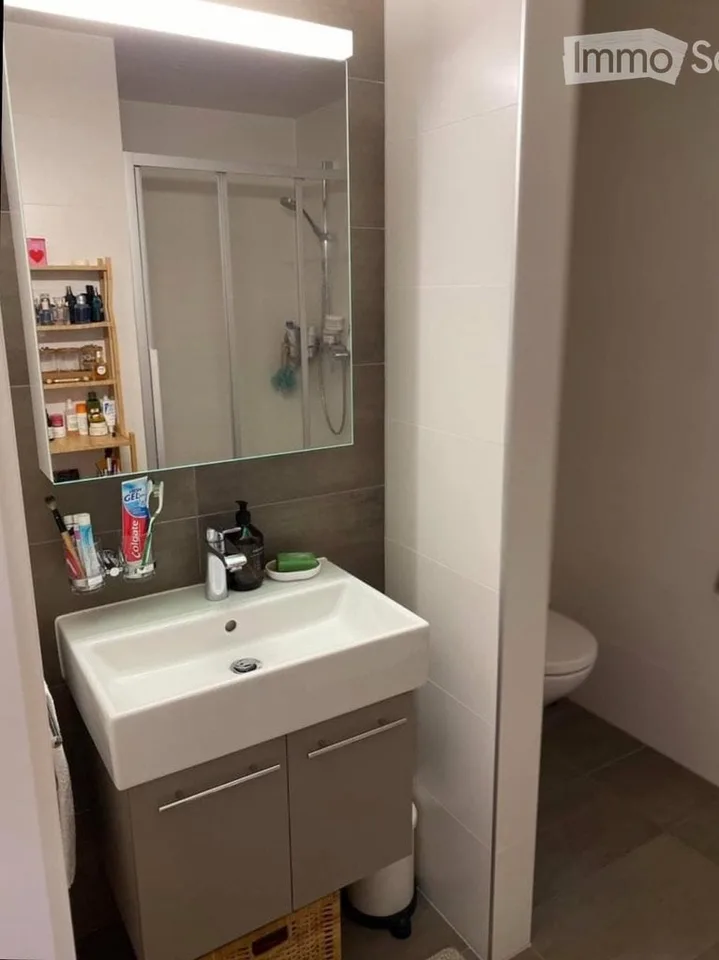 Bel appartement moderne en sous-location à Lutry