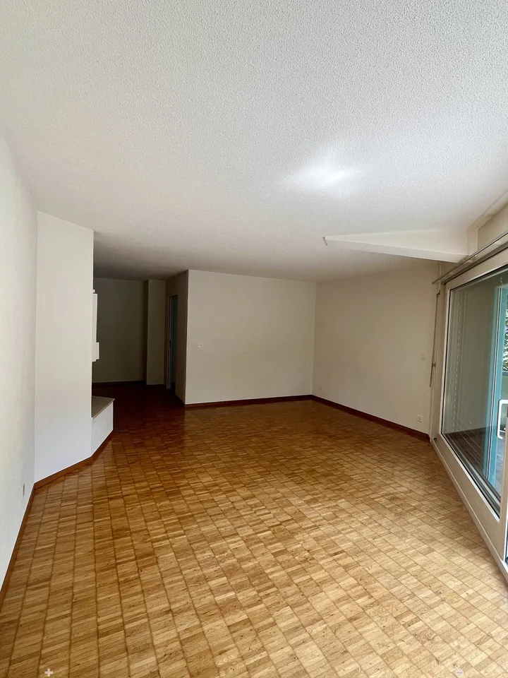 Charmante 4.5-Zimmerwohnung nahe Zihl zum Mieten