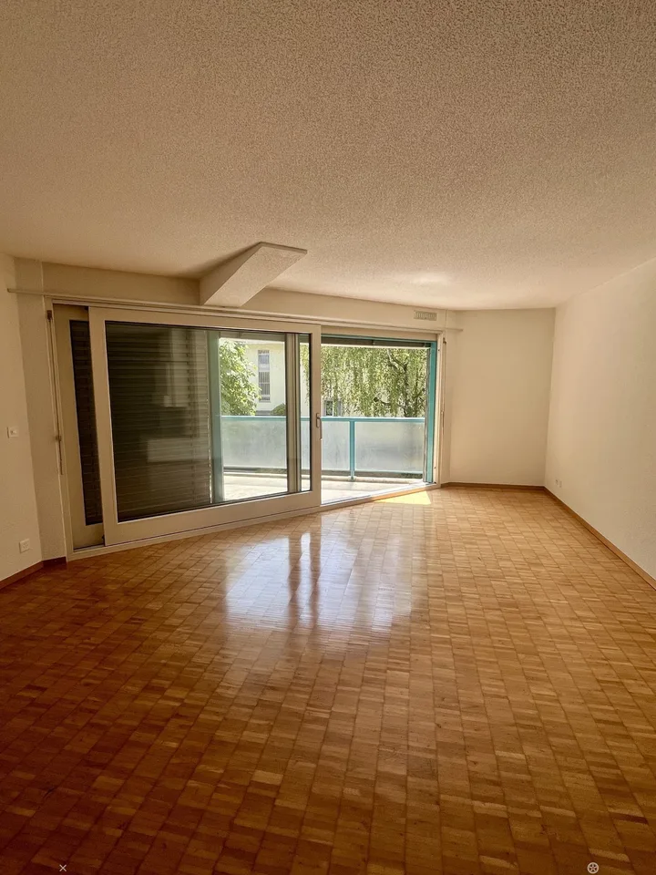 Charmante 4.5-Zimmerwohnung nahe Zihl zum Mieten