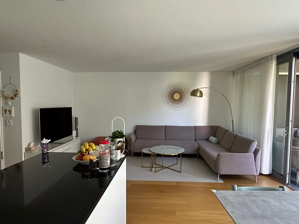 MODERN 3.5 ROOM APARTMENT WITH SOUTH-WEST BALCONY NEAR CITY AND RHINE