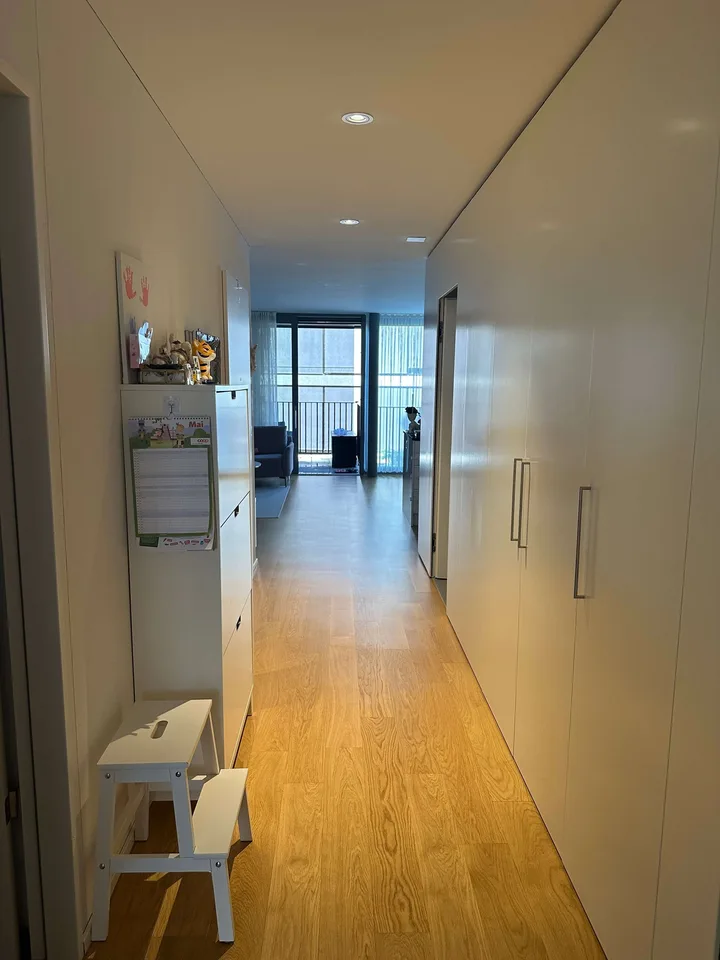 MODERN 3.5 ROOM APARTMENT WITH SOUTH-WEST BALCONY NEAR CITY AND RHINE