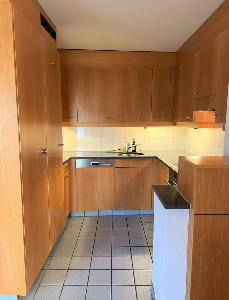 3-room duplex apartment with a view of Zurich (approx. 100m2)