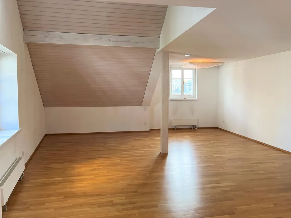 3-room duplex apartment with a view of Zurich (approx. 100m2)
