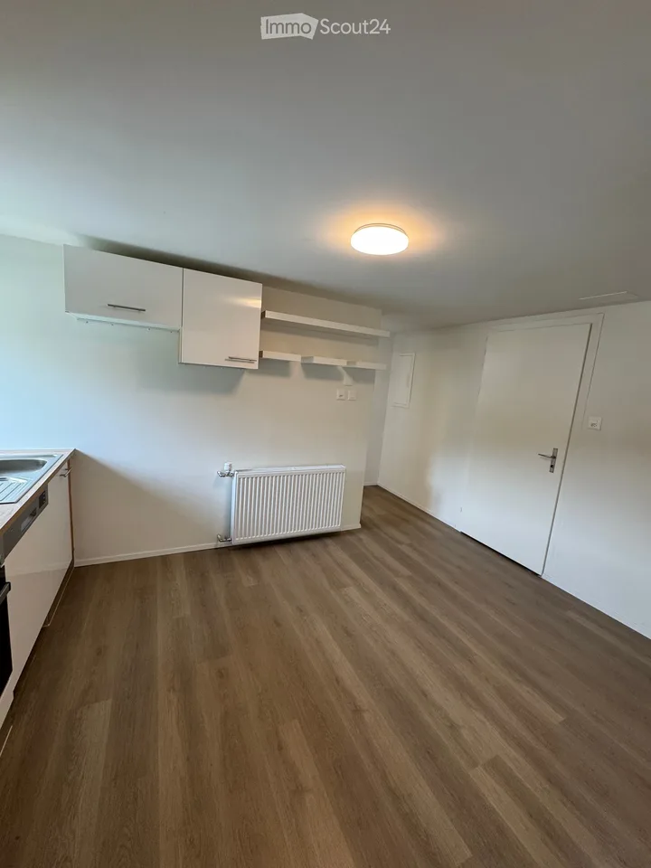 schöne und renovierte 1.5-Zimmer-Wohnung mit Balkon in Goldau