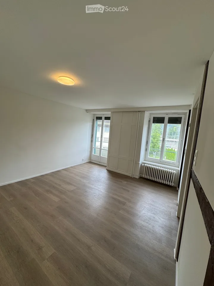 schöne und renovierte 1.5-Zimmer-Wohnung mit Balkon in Goldau