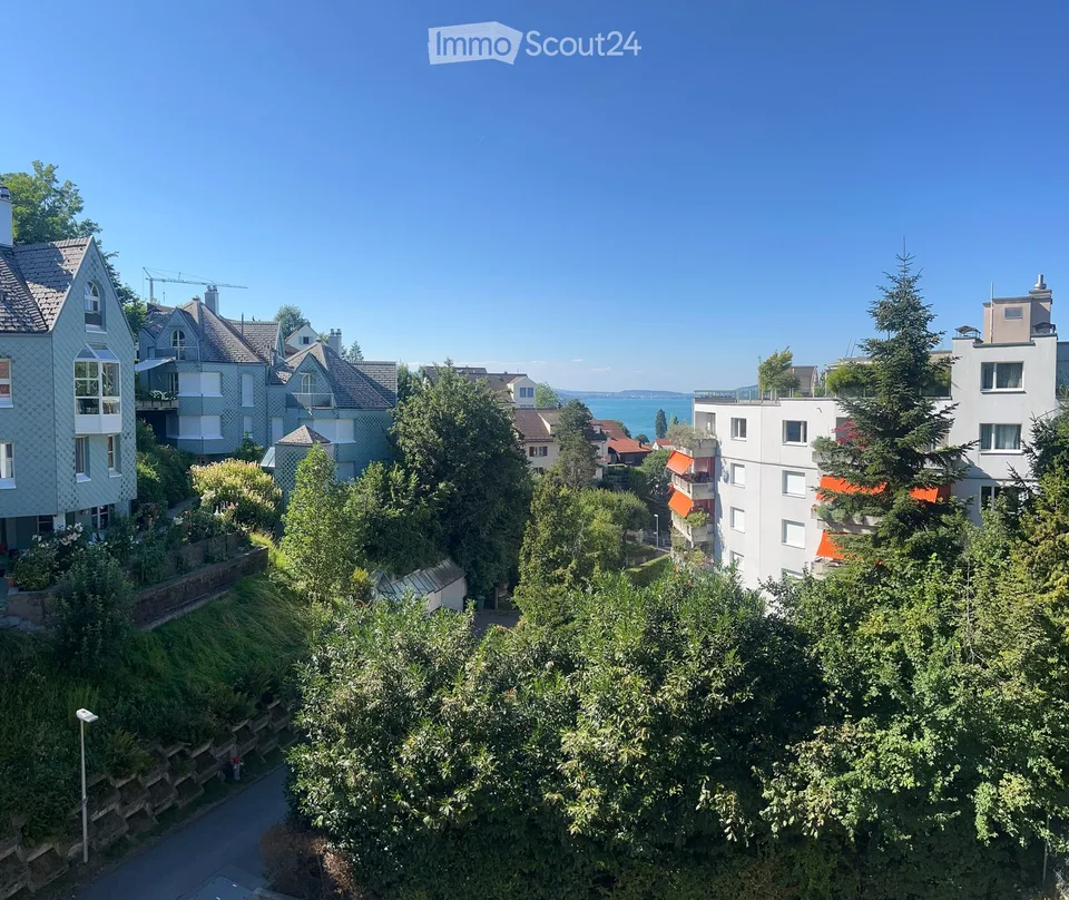 Helle, komplett renovierte Dachwohnung an ruhiger und zentraler Lage in Horgen