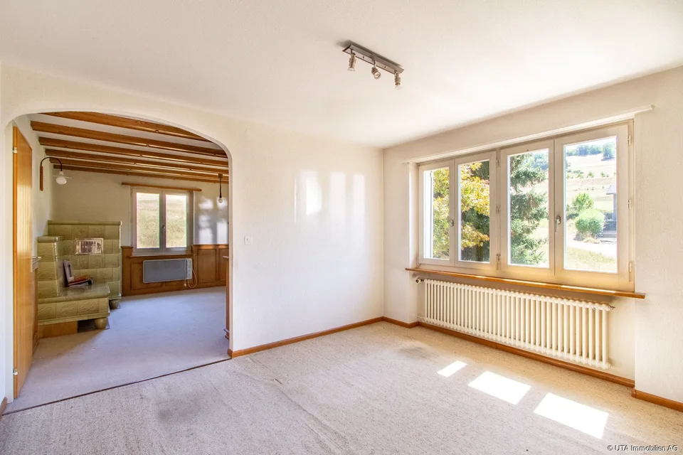 Einfamilienhaus mit Renovationspotential, direkt angrenzend an die Lan