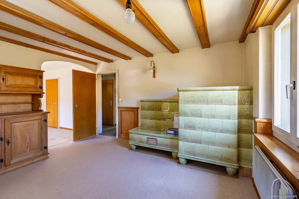Einfamilienhaus mit Renovationspotential, direkt angrenzend an die Lan