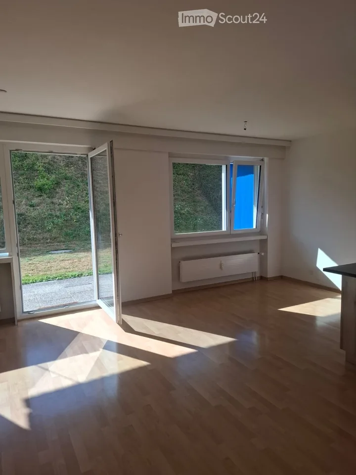 Studio rénové avec terrasse, place de parc et piscine à Marly –