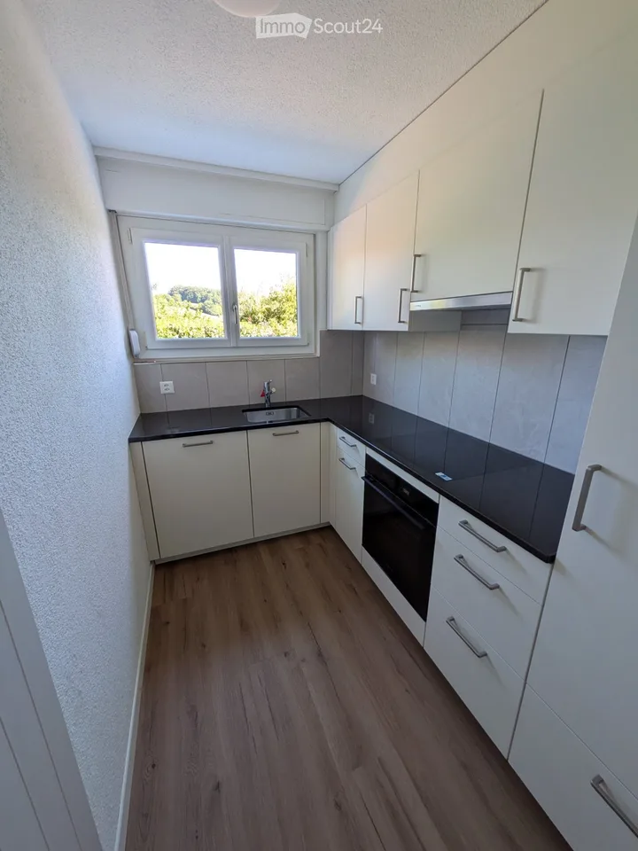 Appartamento di 3,5 locali con giardino in casa unifamiliare