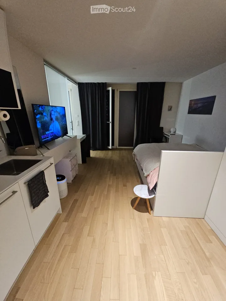 Temporary modern studio with balcony in Zürich