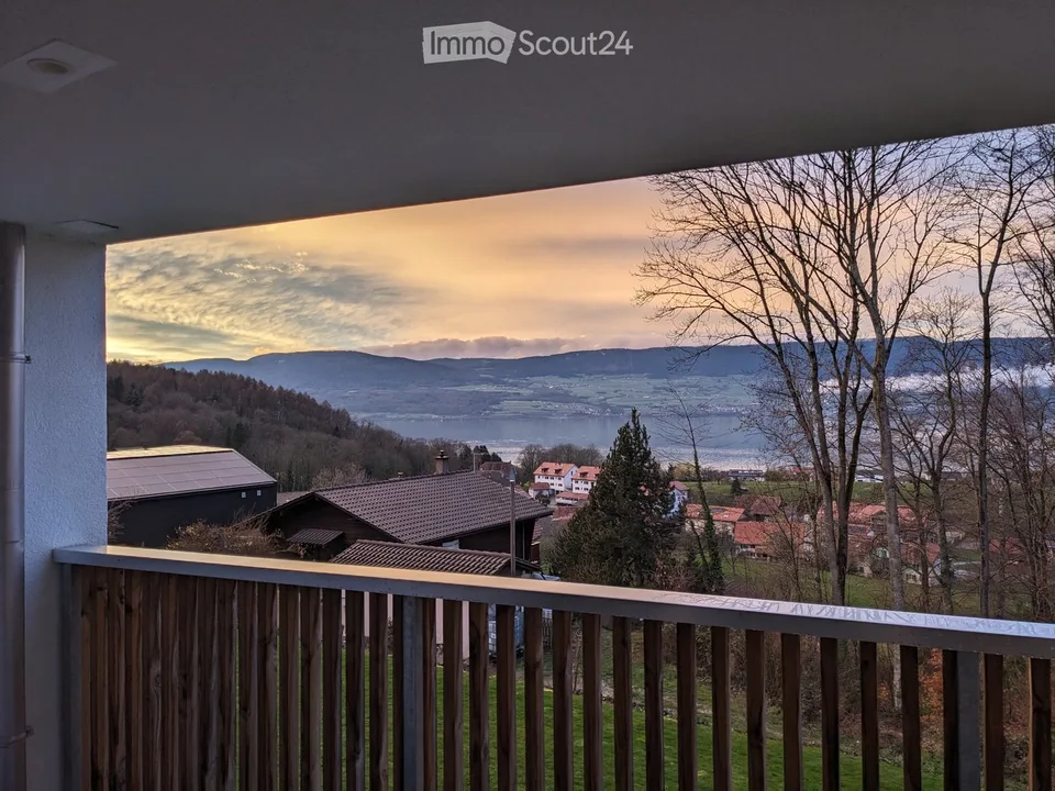 Splendide appartement 2.5 pièces avec vue lac