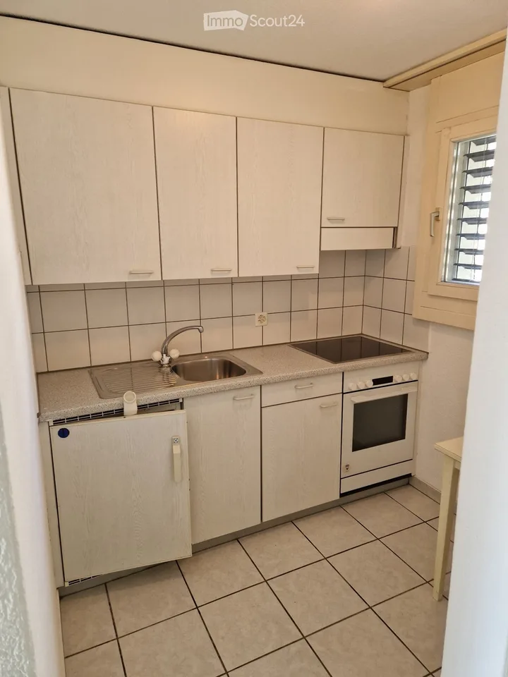 Studiowohnung in Menziken