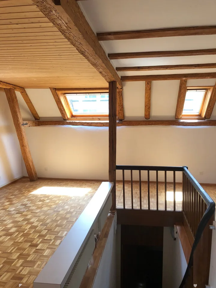 Charmante 3-Zimmer-Dachwohnung im Plänkequartier in Biel