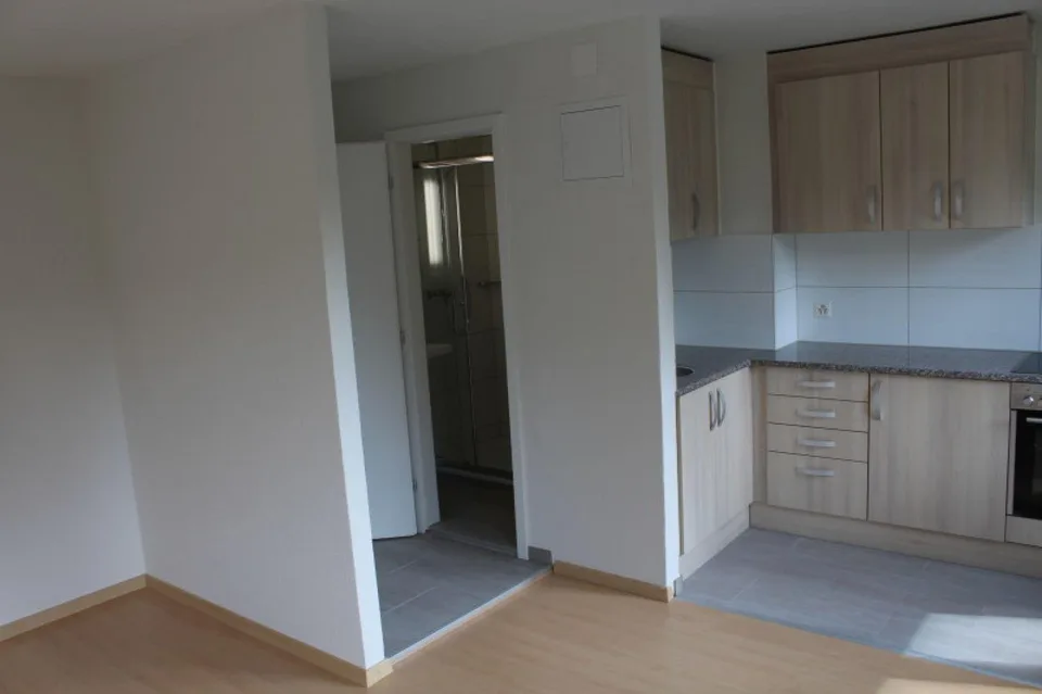 Appartement charmant d'une pièce à Zuchwil disponible immédiatement !