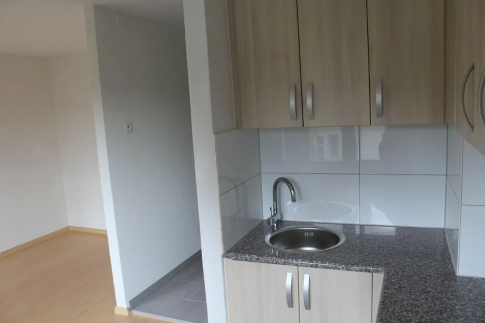 Appartement charmant d'une pièce à Zuchwil disponible immédiatement !