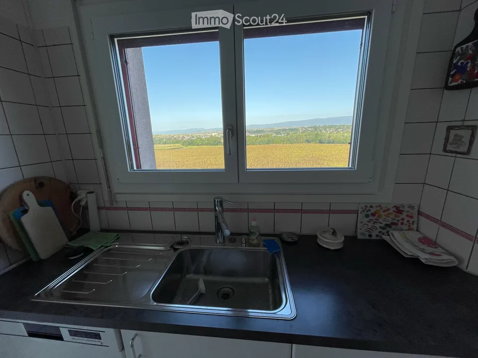 Ampio appartamento di 5.5 locali con vista impareggiabile a Ecublens (VD)