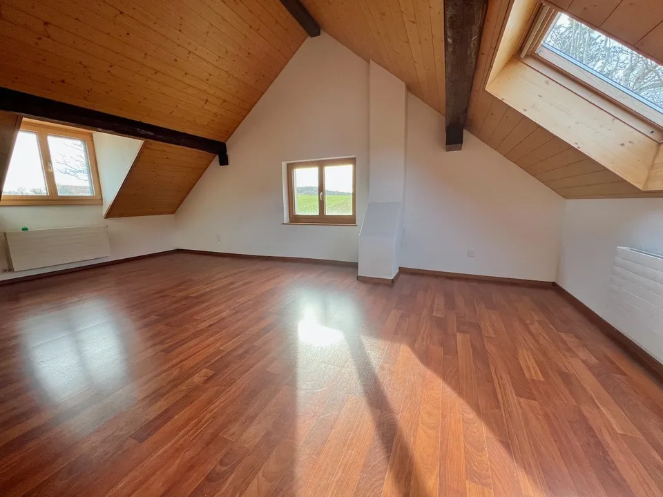 Ferme transformée en 2 spacieux appartements