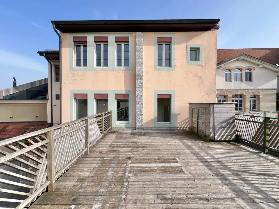 Atypical large 2.5-room apartment with large terrace