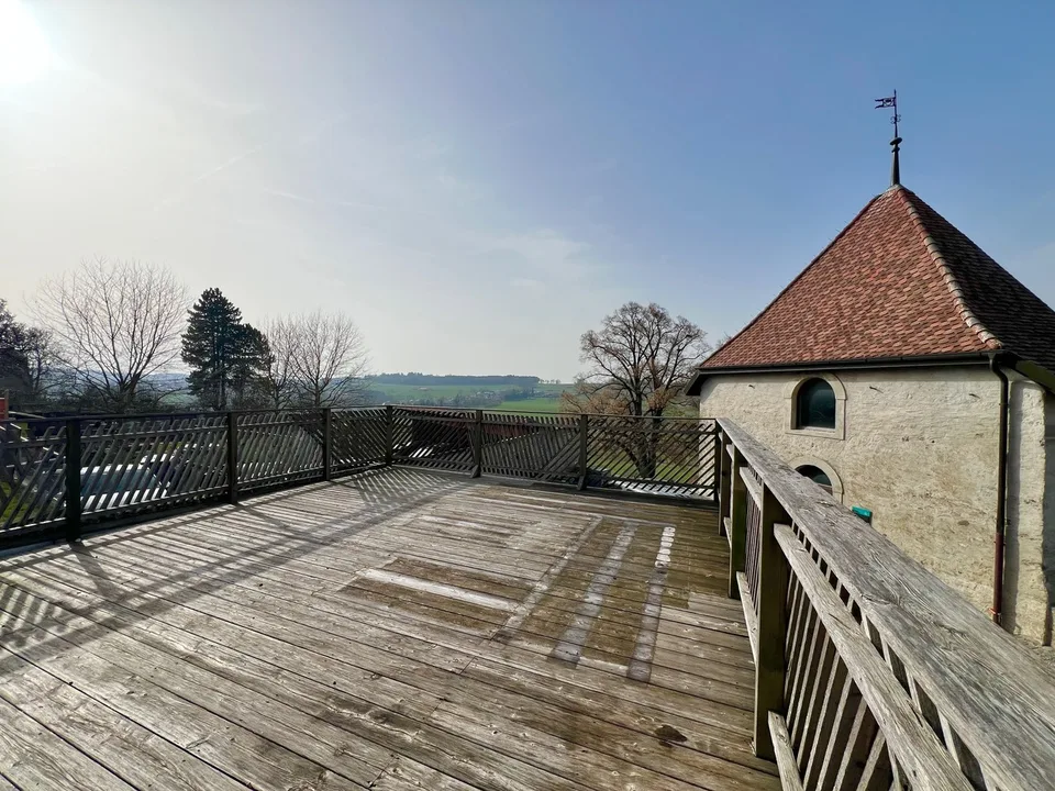 Appartement atypique grand 2,5 pièces avec grande terrasse