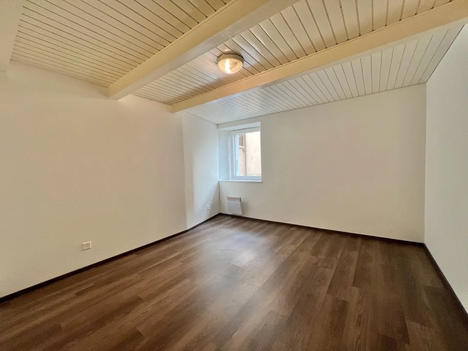 Atypical large 2.5-room apartment with large terrace