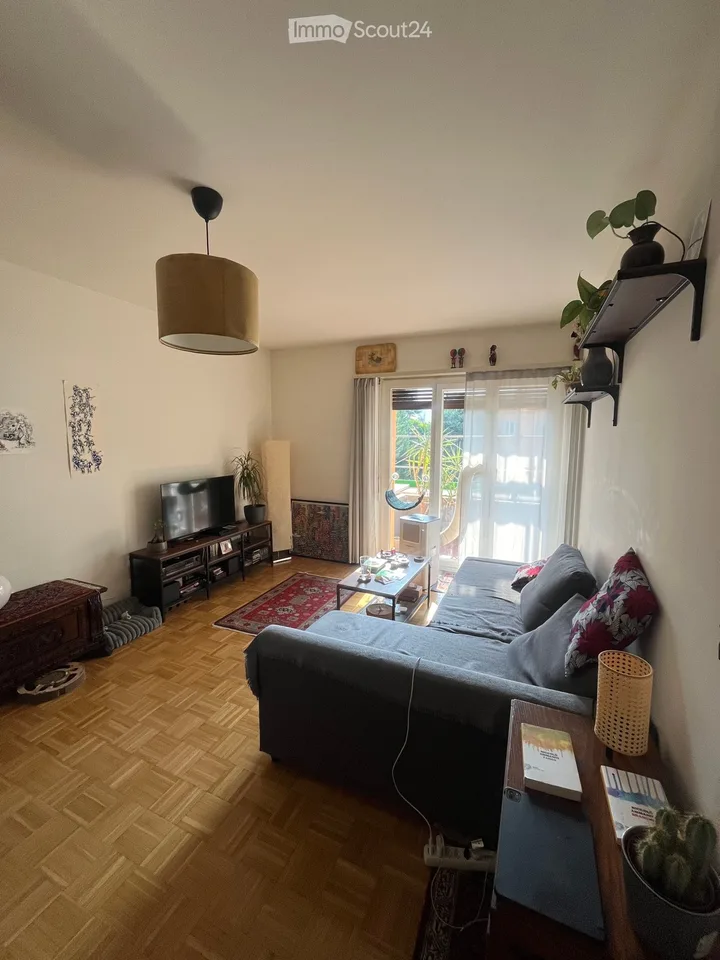 Looking for a sublessee for a 2.5-room apartment in Pregassona