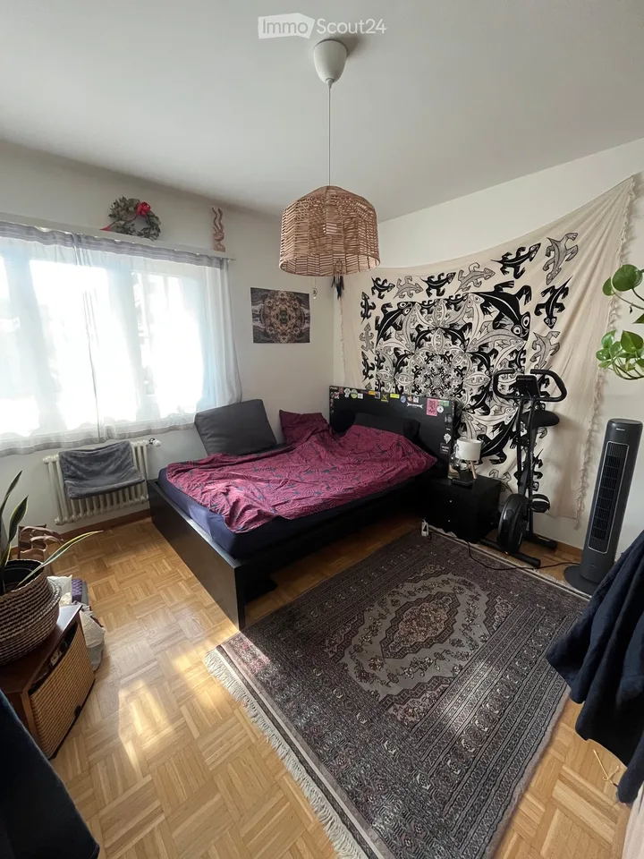 Looking for a sublessee for a 2.5-room apartment in Pregassona