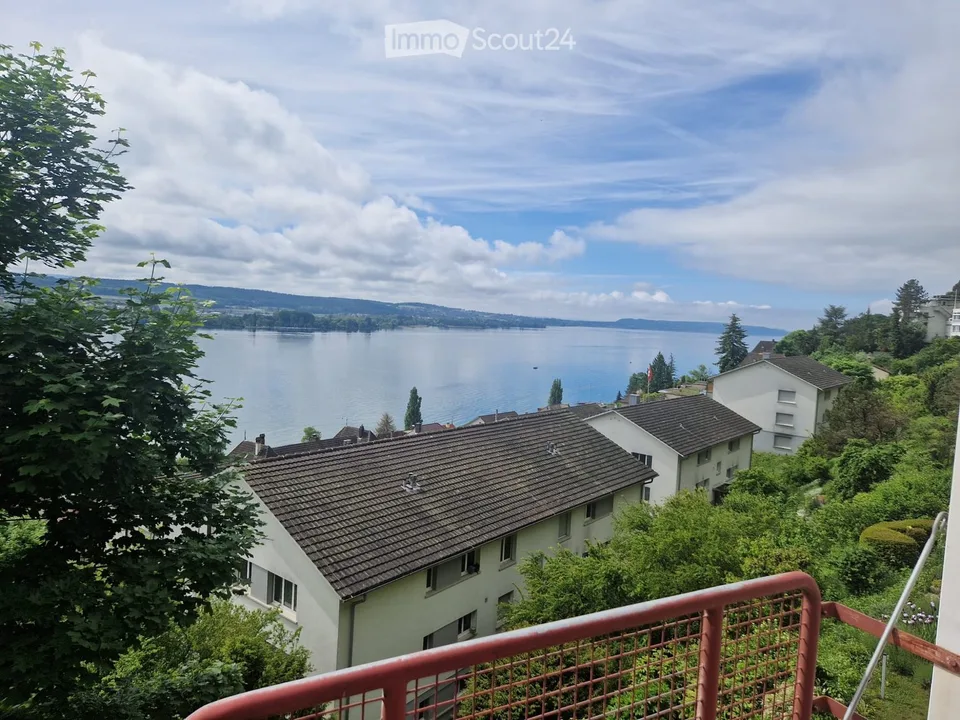 4.5-room apartment with parking space
