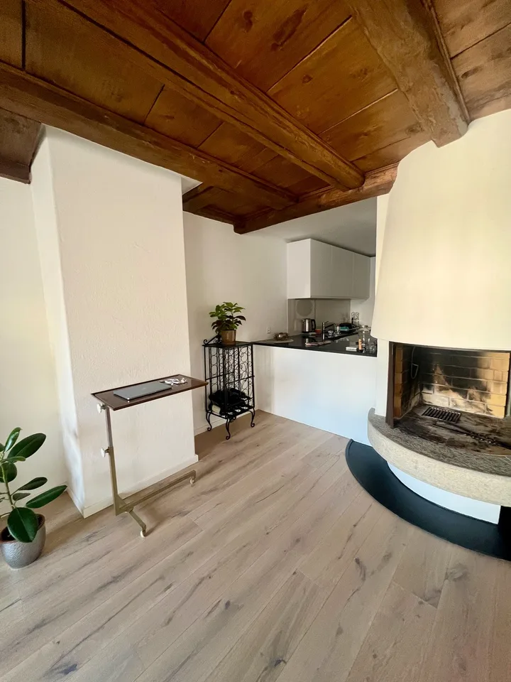Zürich, Münsterhof - Zimmer in einer großen, hellen Wohnung mit großartiger Aussicht, Lift und Kamin