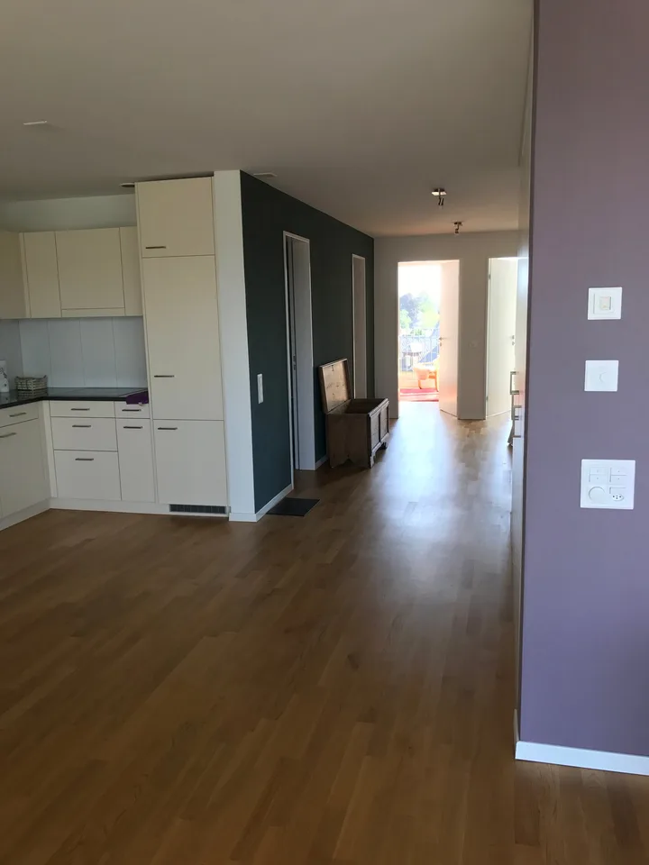 Apartment with a wonderful view in the heart of Frauenfeld