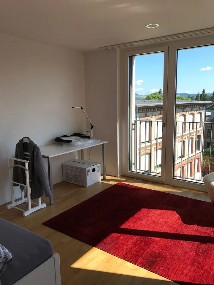 Apartment with a wonderful view in the heart of Frauenfeld