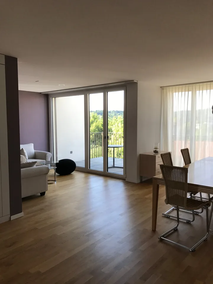 Apartment with a wonderful view in the heart of Frauenfeld
