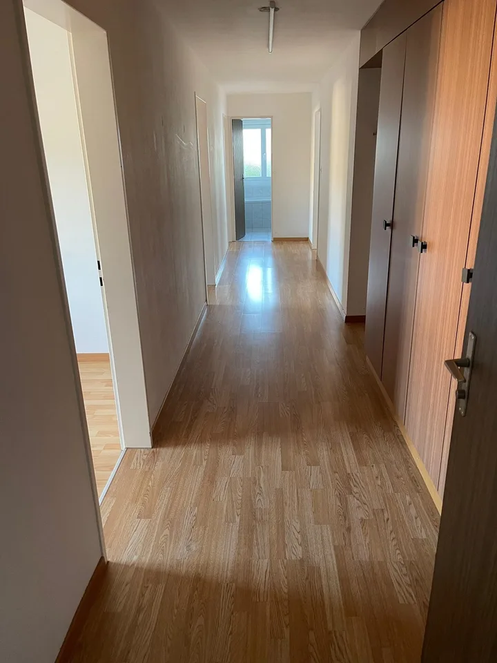 schöne und grosszügige 4 1/5 Zimmer-Wohnung