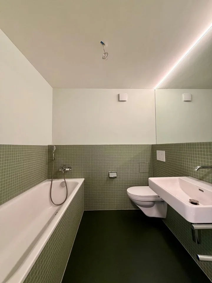 Traumwohnung im Zentrum von Olten zu vermieten