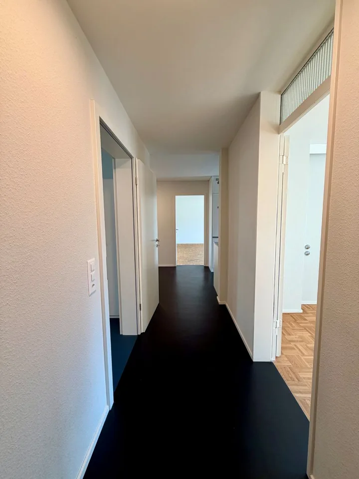 Traumwohnung im Zentrum von Olten zu vermieten