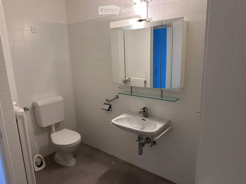Grand appartement 5 pièces entièrement rénové