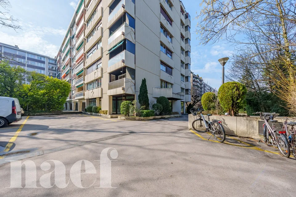 Investment: Bright studio in Champel