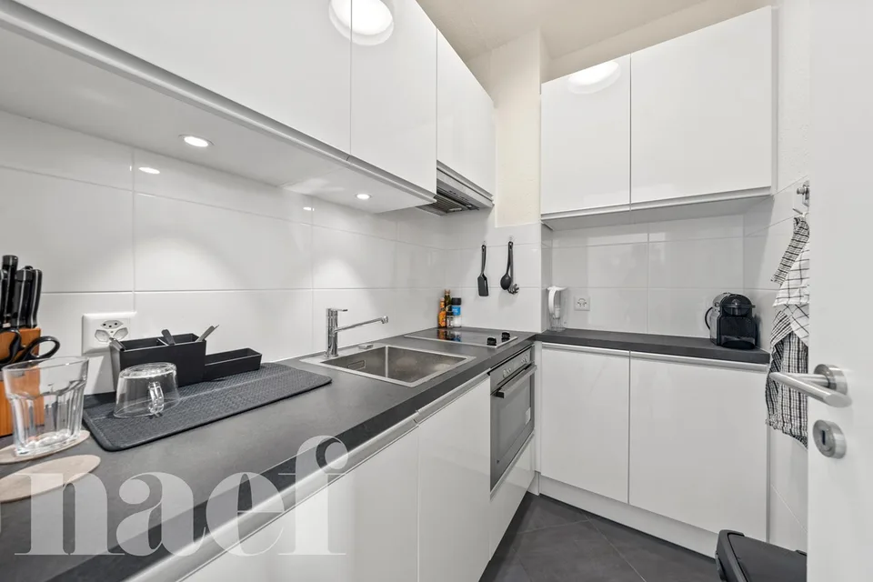 Investment: Bright studio in Champel