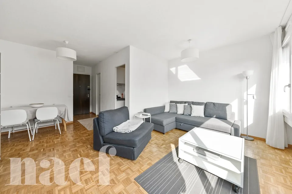 Investment: Bright studio in Champel