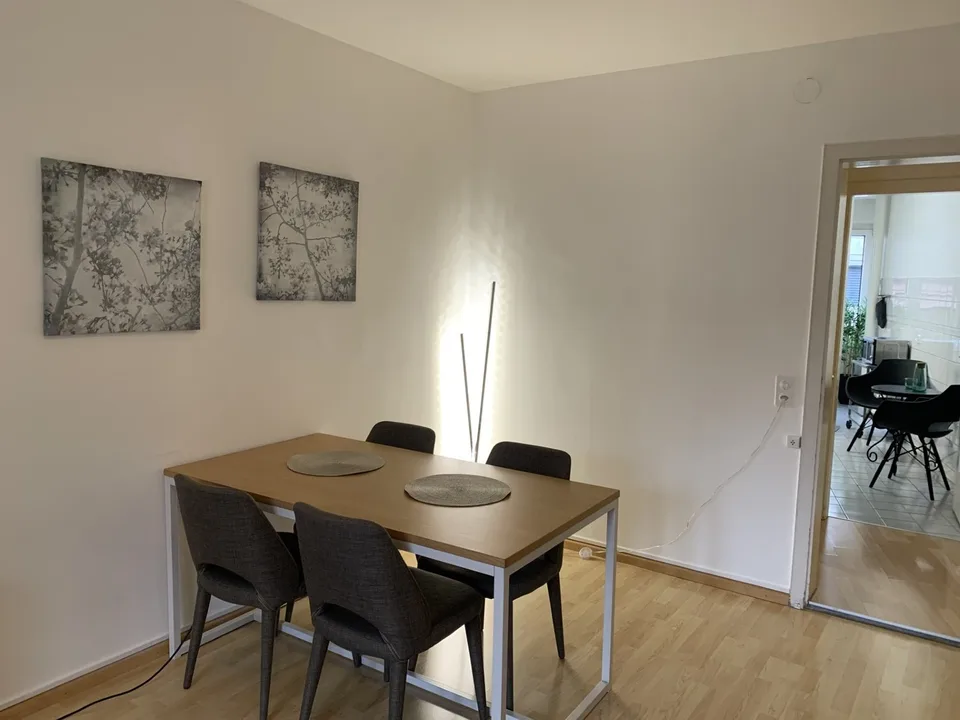 City Centre: modern furnished apartment with lift and large balcony