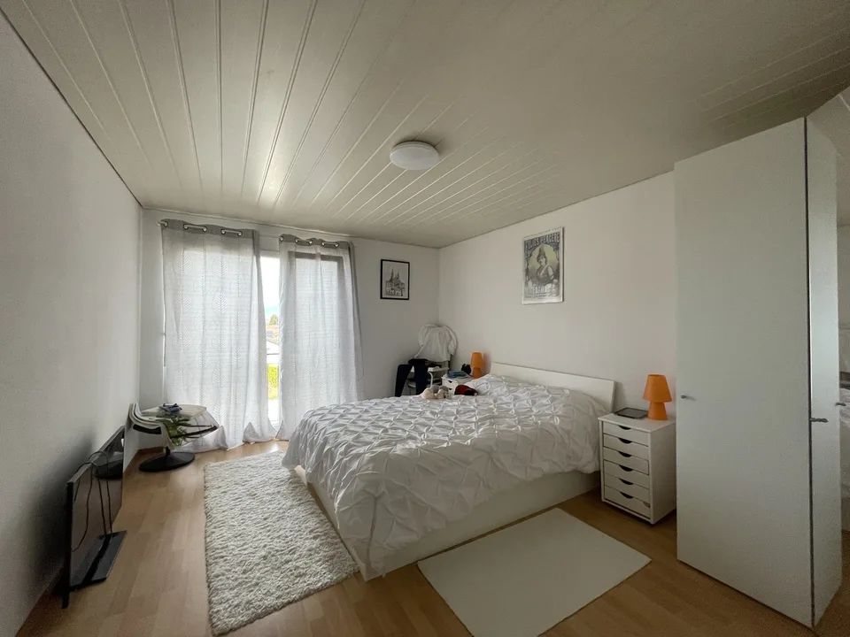 Ampio appartamento di 3,5 locali con balcone