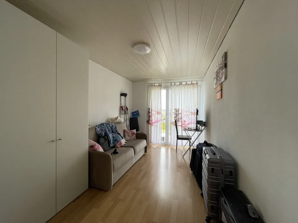 Ampio appartamento di 3,5 locali con balcone