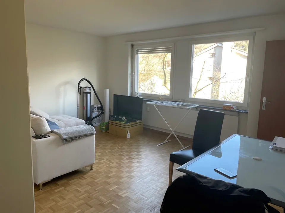 Cozy 1.5-room apartment in a central location in Füllinsdorf